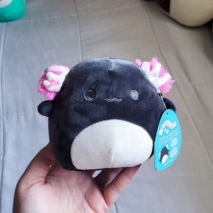 Jaelyn the axolotl squishmallow 5"